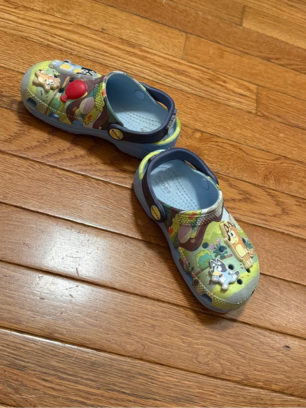 Bluey Cartoon Slip-On Clogs crocs C9